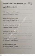 Mevahibus Seher (Divana Şeyh Muhammed Heybetullah Bukarki 1/2 مواهب السحر ديوان شيخ محمد هيبةالله بكاركي